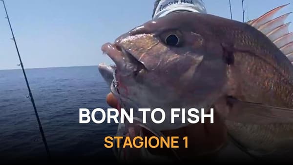 copertina Born to Fish 2 - Stag. 2 Ep. 3