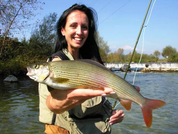 copertina FIPSAS Reel: Fiume Roya