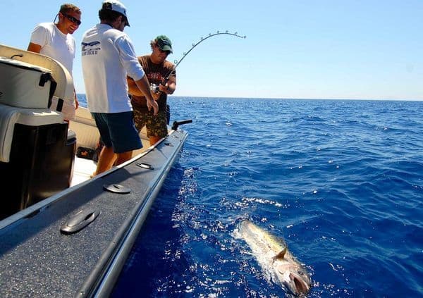 copertina Fishing Veterans 6