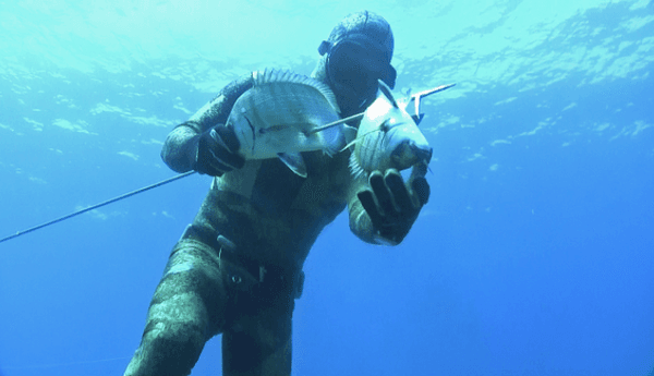 copertina I vagabondi della pesca in apnea 4