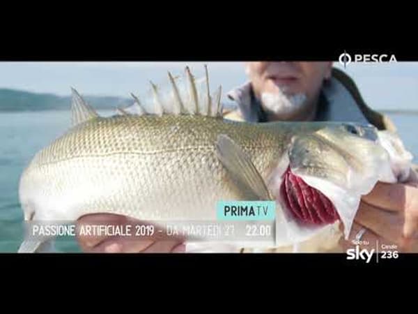 copertina del programma Il bassfishing dei campioni 1