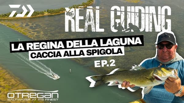 copertina del programma Le regine della Laguna