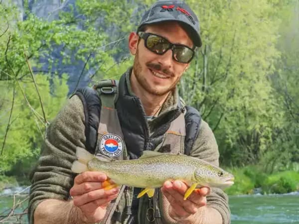 copertina Mosche in Isarco