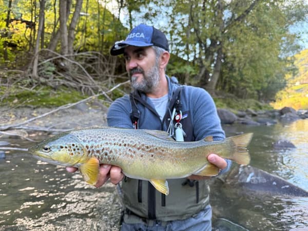 copertina Nymphmat 1 - Stag. 1 Ep. 2