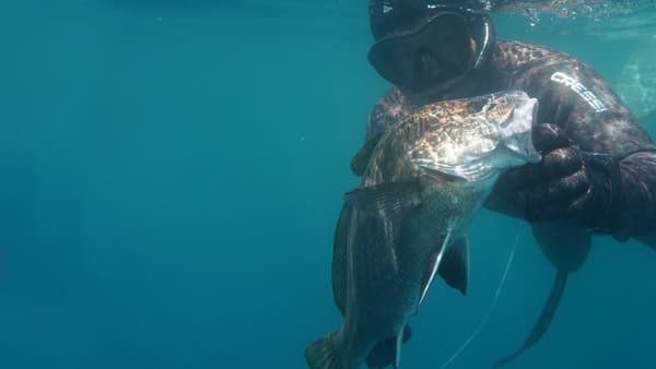 copertina Parliamo di pesca in apnea 1
