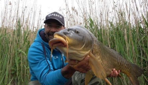 copertina del programma Professione Angler 6