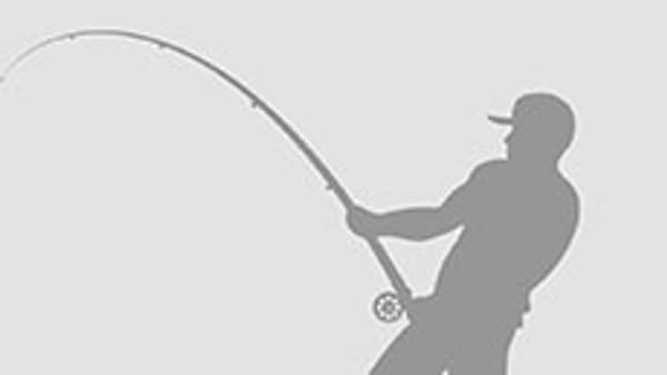 copertina del programma Tutti a pesca 2 - Stag. 2 Ep. 3