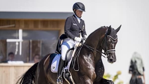 copertina FEI Ride Originals 2026   S7