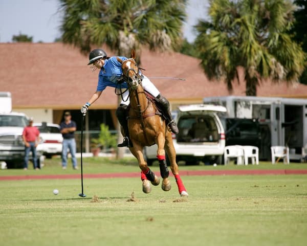 copertina German High Goal Polo Championship  202