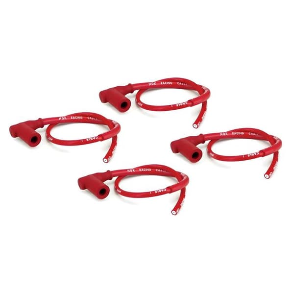 copertina del programma 00Verde Primavera Estate 2016