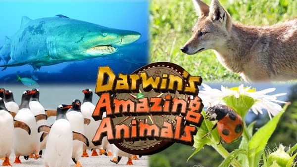 copertina Darwin's Amazing Animals
