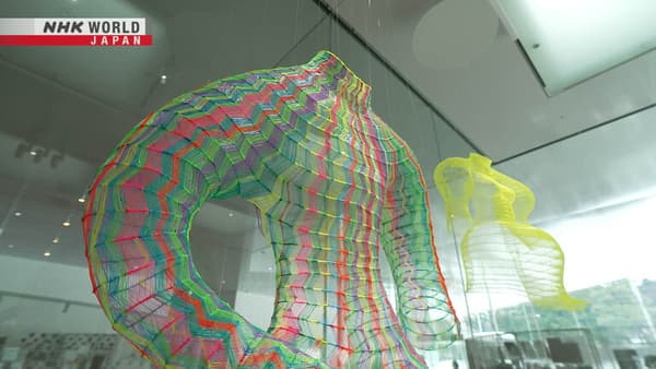 copertina Design Museum Japan