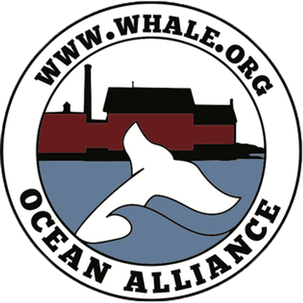 copertina Do the Oceans Hold the Key?