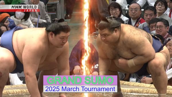 copertina Grand Sumo Preview