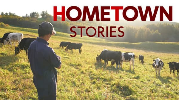 copertina Hometown Stories