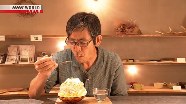 copertina Icy Landscapes