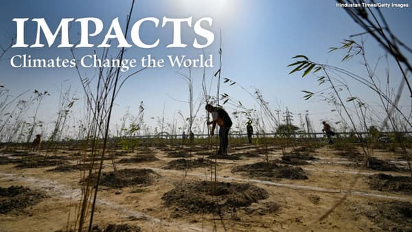 copertina Impacts: Climates Change the World