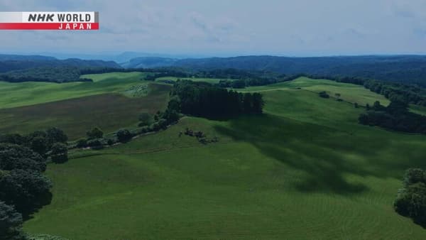 copertina del programma Living in the Grasslands