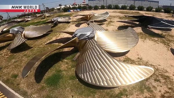 copertina Propellers: Unwavering Rationality