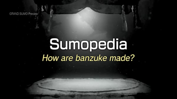 copertina Sumopedia