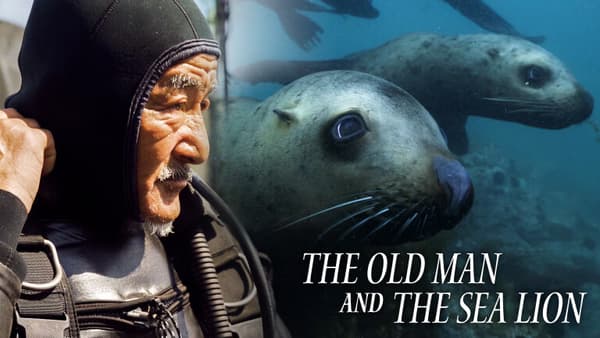 copertina del programma The Old Man and the Sea Lion