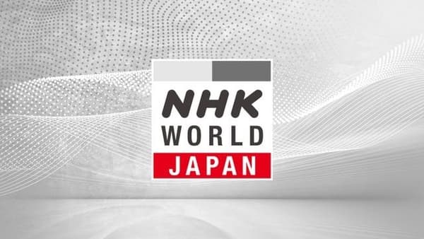 copertina The World Heritage Sites in Japan