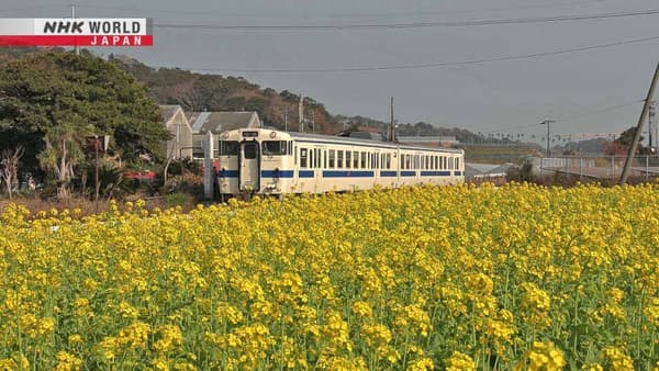 copertina del programma Train Cruise