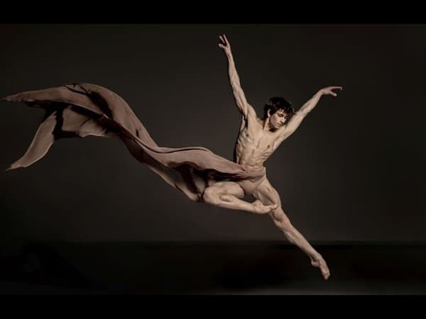 copertina Friedemann Vogel - Incarnation of Dance