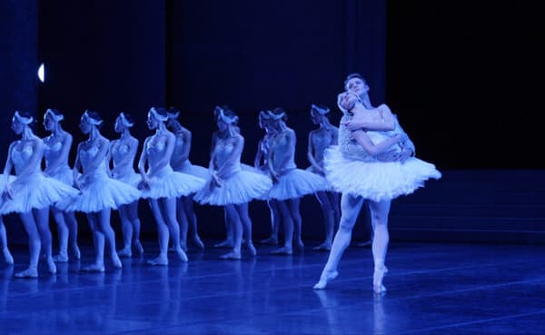 copertina del programma Il sogno bianco