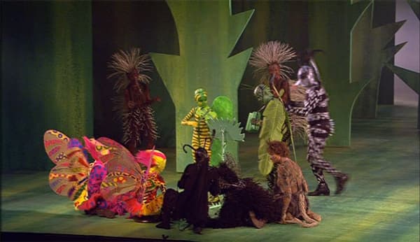 copertina Janacek - La piccola volpe astuta