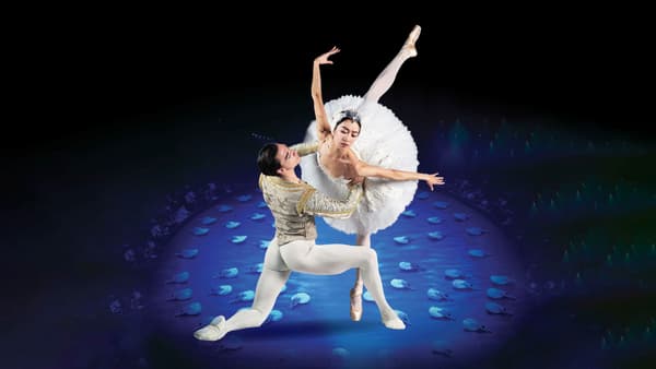 copertina Swan Lake in-the-round - D.Deane, cor.