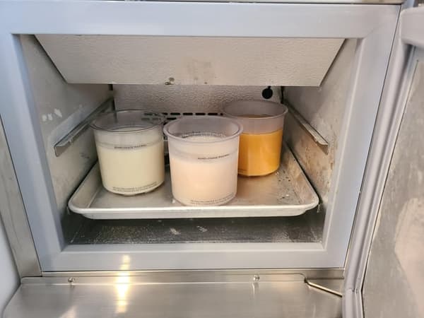 copertina del programma In cucina con Gelato senza peccato