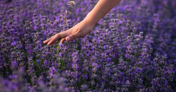 copertina PromoPharma Natura, scienza e benessere