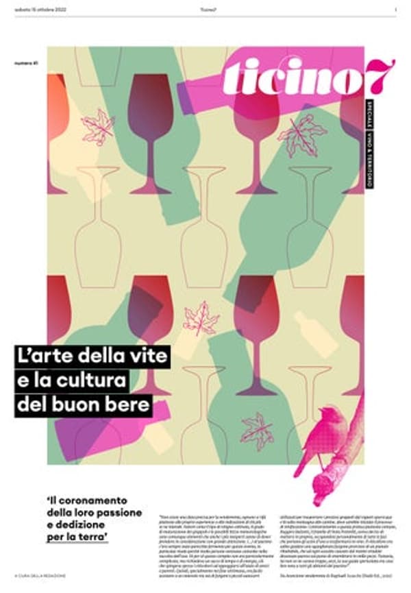 copertina Lo spettacolo della Terra - Vulcani