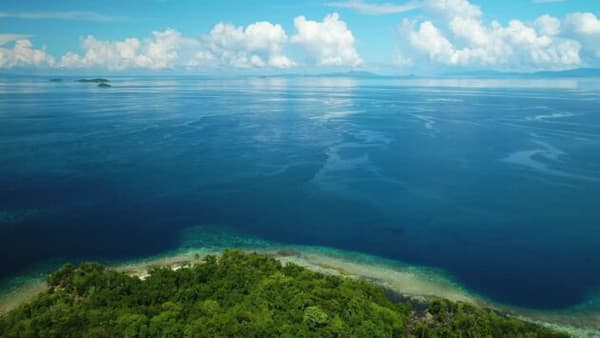 copertina Se non ci fosse terraferma sul pianeta - Raja Ampat