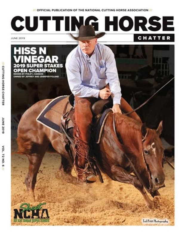 copertina Piccolo Malabar - Stagione 1 - Il sole in festa