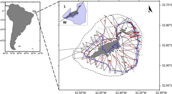 copertina Capitani pt 03