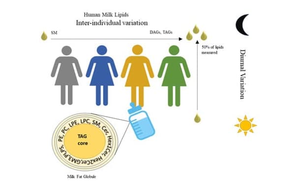 copertina del programma S. Mosca-Inter 25/26