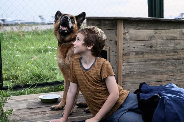 copertina Palma un amore di cane