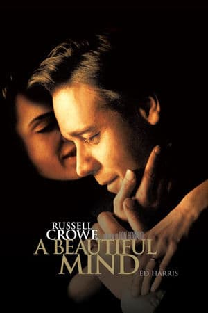 copertina del programma A beautiful mind