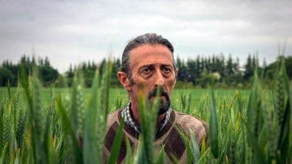 copertina Amo la tempesta