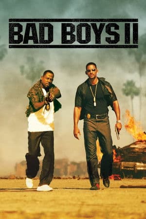 copertina del programma Bad Boys II