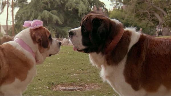 copertina del programma Beethoven 2