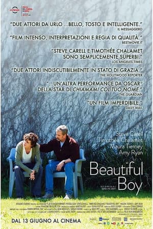 copertina del programma Beautiful Boy