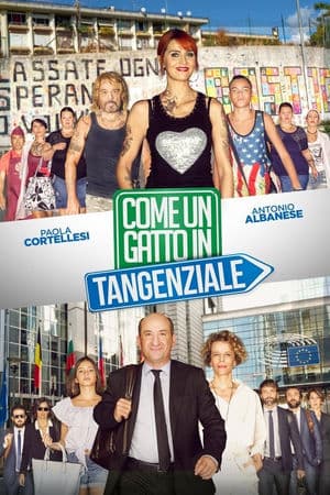 copertina del programma Come un gatto in tangenziale