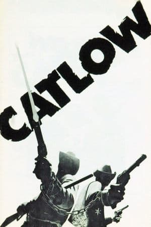 copertina del programma Catlow