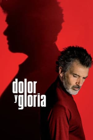 copertina del programma Dolor y Gloria