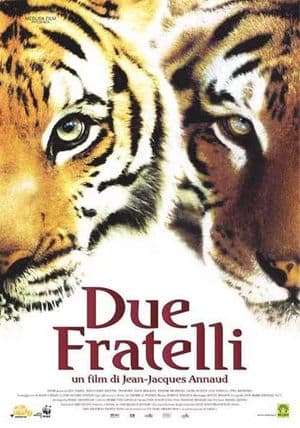 copertina del programma Due fratelli