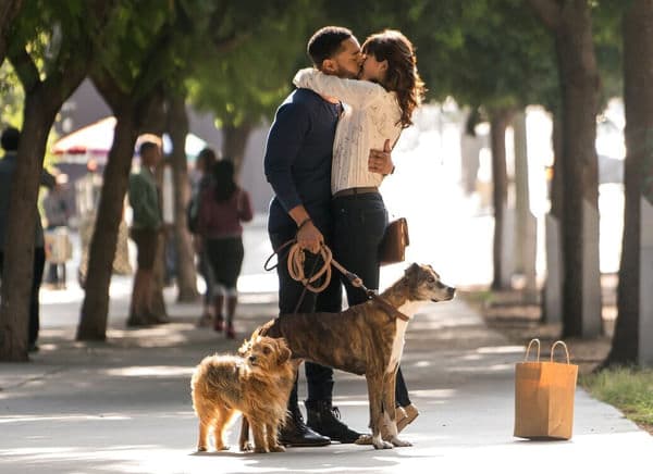 copertina del programma Dog Days