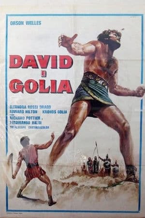 copertina del programma David e Golia